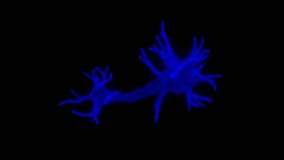 Holographic Wireframe of Neurons Anatomy - Powered by Shutterstock - Get 15% off with code: PIKWIZARD15