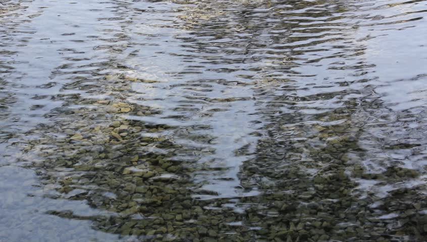 Lake/Pond Ripples