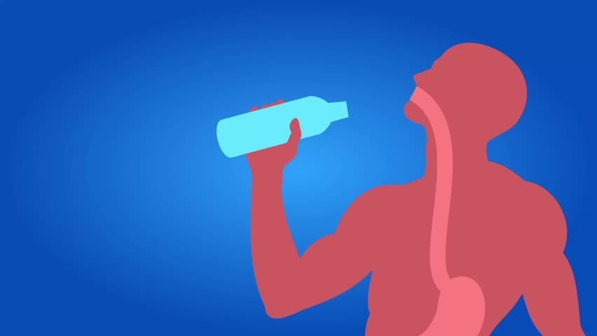 Shutterstock Video