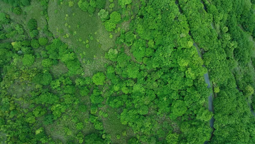 Natural scenery and environmental technology concept