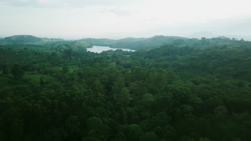 Mountains Densely Covered In Trees Near Crater Lake In Fort Portal, Uganda, Africa. Aerial Drone Shot