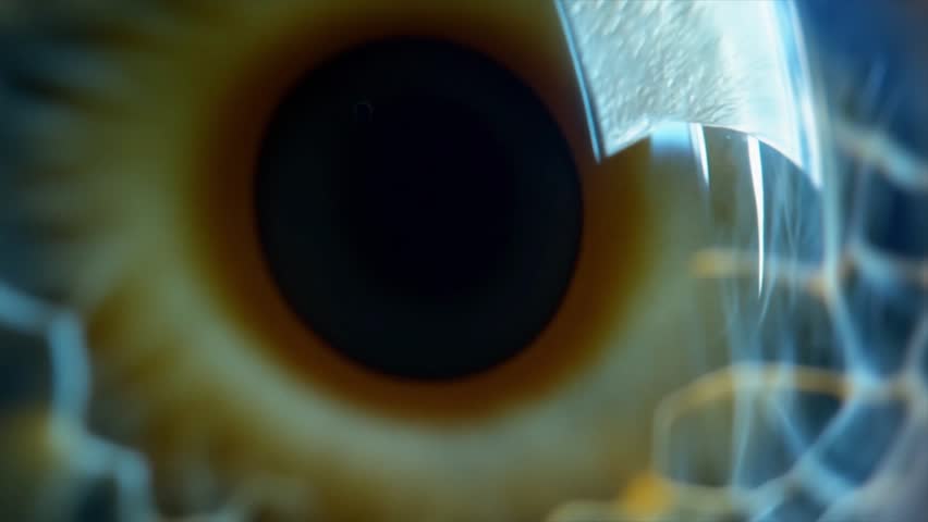 Eye Zoom In
Zoom in to the pupil of an eye.