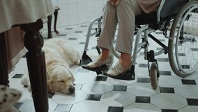 Cheerful senior woman sitting in wheelchair and petting cute cat on her lap while golden retriever dog sleeping on floor in the kitchen at home. Tilt-up shot - Powered by Shutterstock - Get 15% off with code: PIKWIZARD15