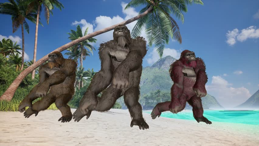 Dancing Gorillas On the beach