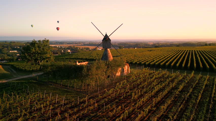 A beautiful birds eye view of French vineyards in the golden evening sun with balloons in the sky and a historic windmill.