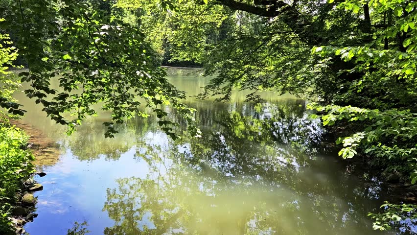 Still lake water with tree and sky reflection in it.