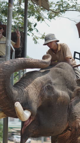 Two mature ladies wave smilingly at the camera while riding on top of an elephant under an umbrella in Vietnam