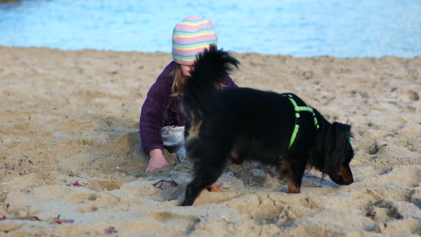 A little girl in a hat and jacket sits on the sand by the sea and plays with toys. A girl plays on a sandy beach overlooking the sea and rocky coast.