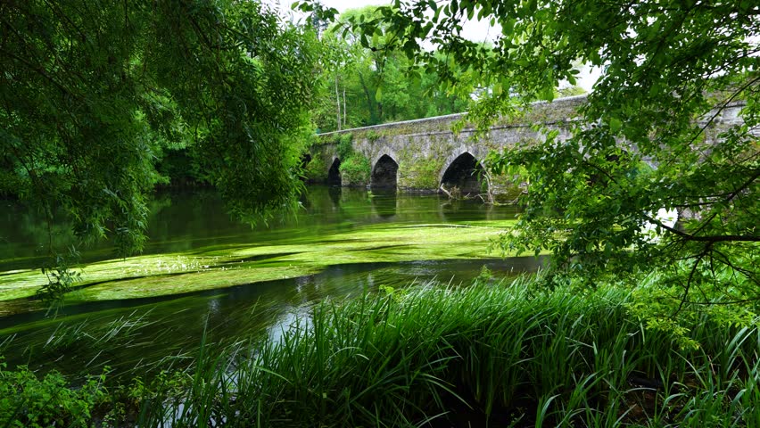 Medieval bridge on the Miño River in "As Insuas do Miño" in the municipality of Rábade. Santiago