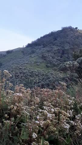 Cinque Terre