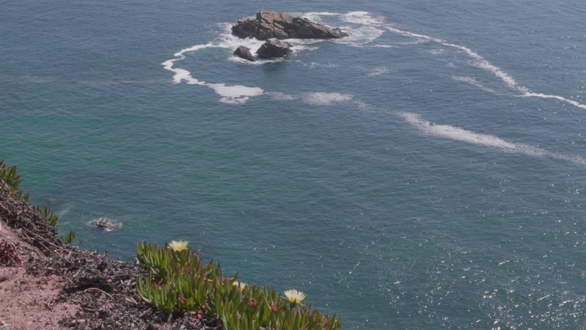 Yellow flowers on the cliff top at Cabo Da Roca, Portugal.