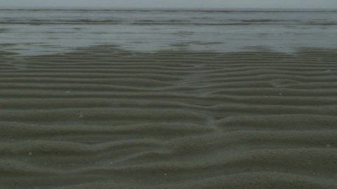 Flood-lapse / ripple marks