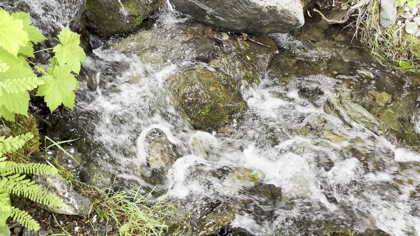 Crystal clear stream brook flowing naturally from Cascade mountains in Washington State of America 