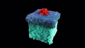 Plush Gift Social Media Icon Alpha Loop - Powered by Shutterstock - Get 15% off with code: PIKWIZARD15