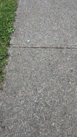 Vancouver Pavement on the sunny day