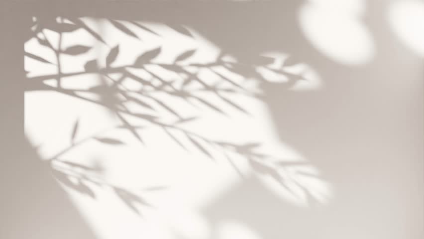 Shutterstock Video