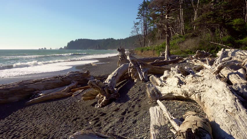 Pan left of the Rialto Beach in Washington State with driftwood scattered along the pebbled shore and a forested coastline in the background. 4K UHD video.