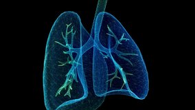 Human lungs. Blue light dot and lines formation human lungs model. Motion animated neurons in 3d virtual space - Powered by Shutterstock - Get 15% off with code: PIKWIZARD15