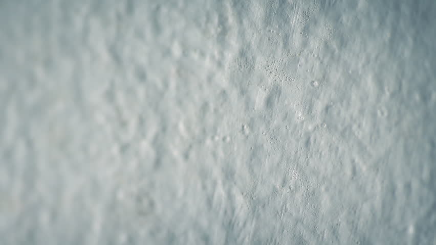 Moth Lands On Wall And Flies Off