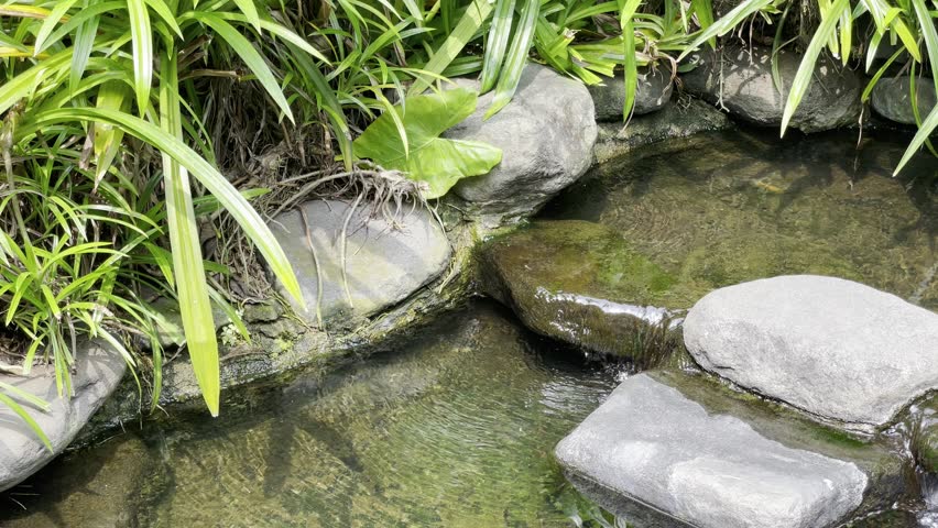 small waterfall with rock and nature green view