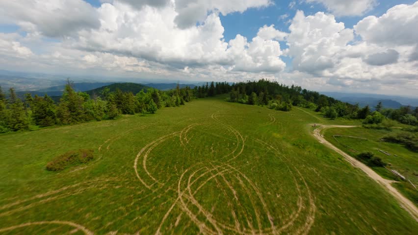 Wild natural landscape with forest walkway in Poland, aerial view