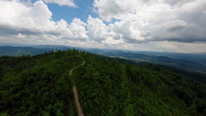 Wild natural landscape with forest walkway in Poland, aerial view