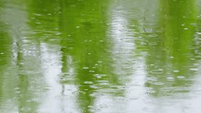 Raindrops fall on the river surface in spring, Green water ripples texture. - Powered by Shutterstock - Get 15% off with code: PIKWIZARD15