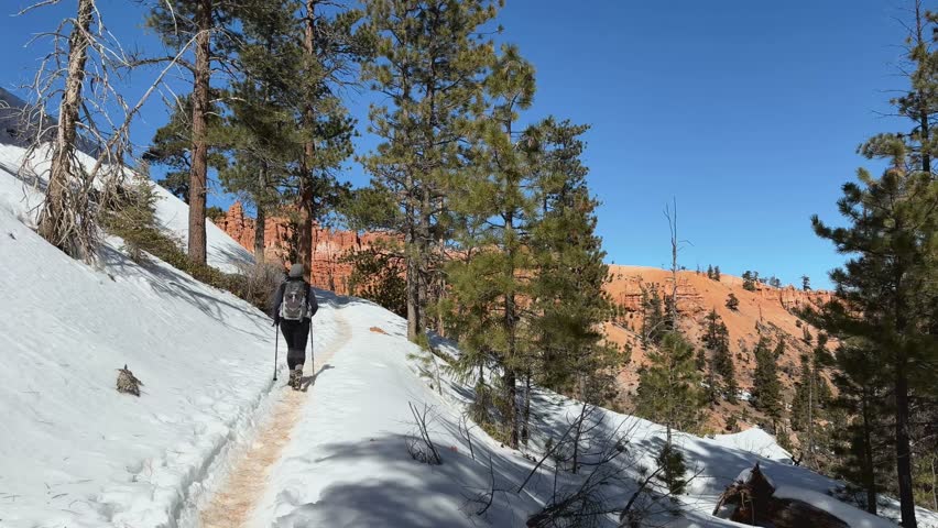 Female hiker enjoys a sunny day hiking on a snow packed trail in winter. The trail is surrounded by snow and pine trees, with red rock hoodoos in the background. Bryce Canyon National Park, Utah, USA