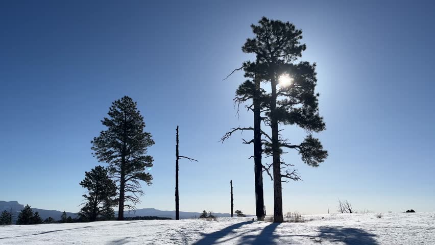 Silhouette of a man hiking through snow in Bryce Canyon National Park, Utah. The sun is shining through the trees on a bright winter day with blue skies - USA
