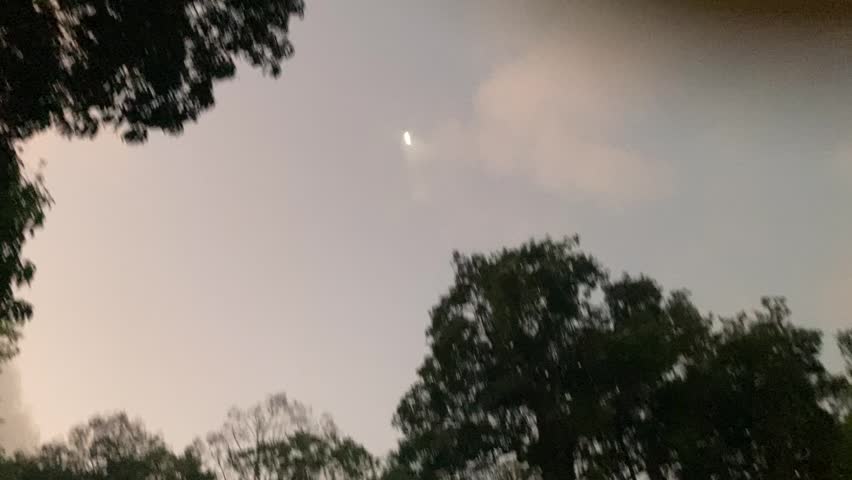Evening birds