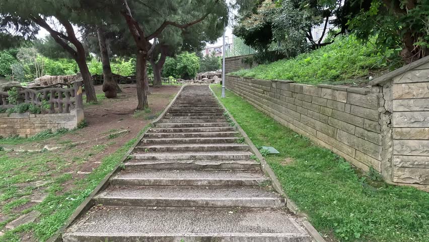 Slowly I climb the unusual staircase up amongst the trees on a clear summer day. A first-person view.