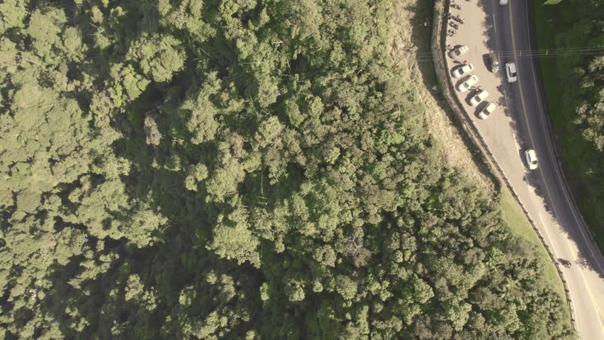 TERESOPOLIS MONTAINS - RIO DE JANEIRO - JULY