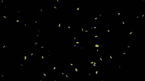 Loopable Leaves Animation on Black Background, White Background, Blue Background - Powered by Shutterstock - Get 15% off with code: PIKWIZARD15