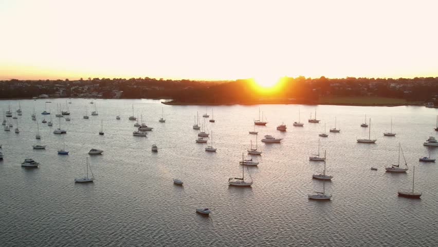 Aerial trucking pan above sailboats anchored in even spaced rows across Botany Bay NSW Australia