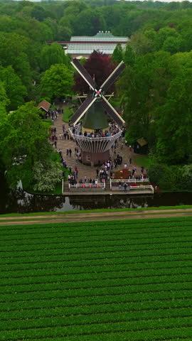 Renewable energy source. Windmill park green energy from drone view, windmill offshore wind farm in the Netherlands windmill turbines. Windmills in the ocean aerial view of wind turbine. Green energy
