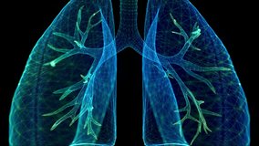 Human lungs. Green light dot and lines formation human lungs model. Motion animated neurons in 3d virtual space - Powered by Shutterstock - Get 15% off with code: PIKWIZARD15