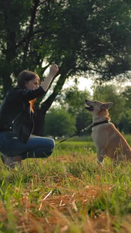 A young girl is training her outbred dog in a park. She gives him some food and he puts her noodles on her knee. Obedient dog concept. Evening at sunset park. Vertical shot.