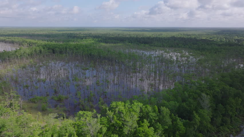 Aerial view of Louisiana