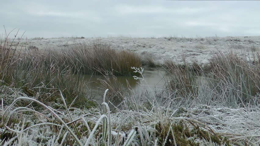 A frozen Bog in the middle of winter on a bleak moor