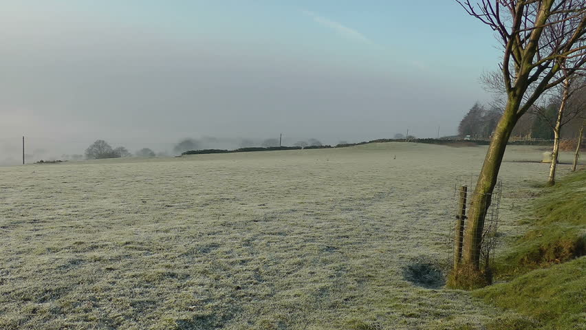 An establishing shot of an open field with a low lying mist and birds flying in