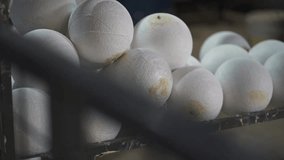 Semi-finished and formed into fabric handballs are waiting on the loading bay for the next steps in the factory. - Powered by Shutterstock - Get 15% off with code: PIKWIZARD15