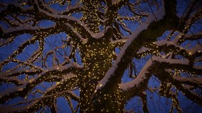Snowcovered tree with fairy lights at night, creating an enchanting winter scene - Powered by Shutterstock - Get 15% off with code: PIKWIZARD15