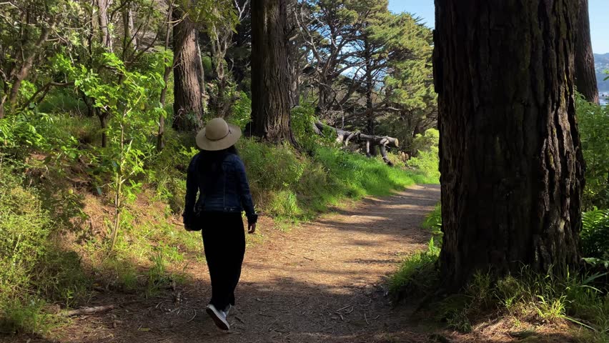 A woman in a denim jacket and sun hat walks to explore a forest trail and discovers a view of the city of Wellington, New Zealand