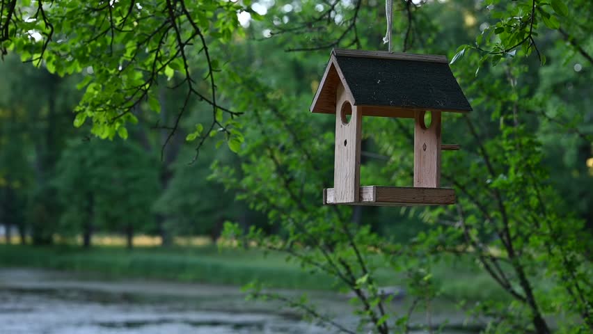 birdhouse is among green trees in the park. peaceful and calm atmosphere