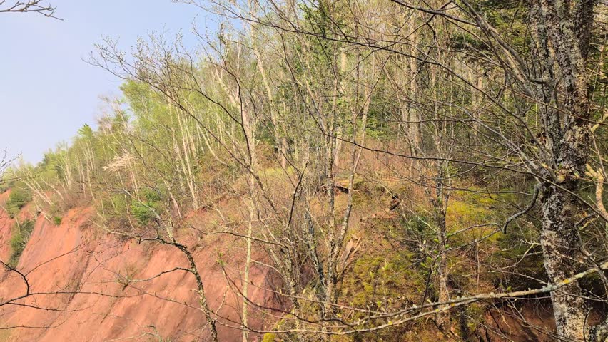Forests of the northwoods meet the cold waters of Lake Superior in Michigan