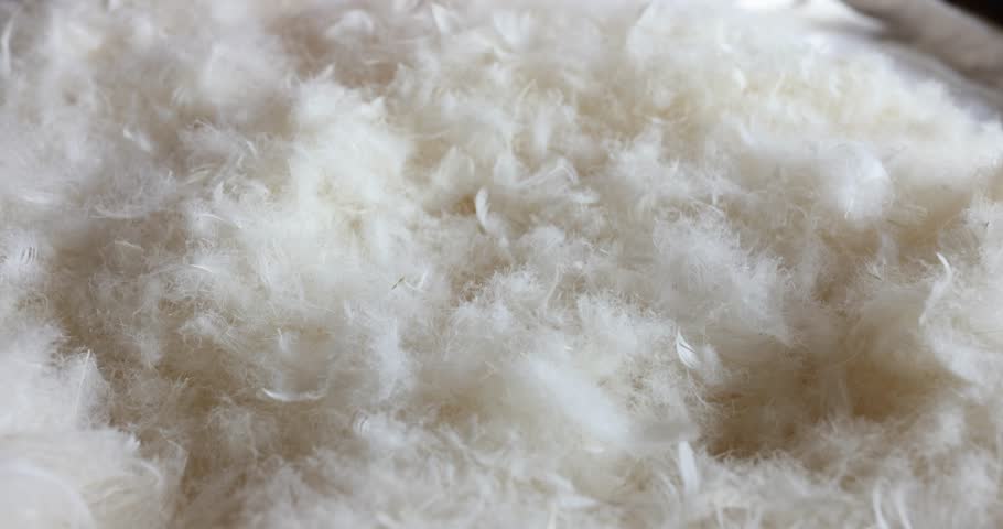 Feather meticulously inspected and chosen for superior softness. Pillow manufacturer prioritizes sustainability and eco-friendliness