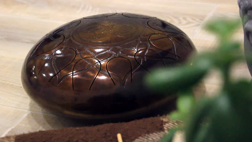 Green leaves of a flower against the background of Hapi Drum in the video