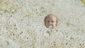 Girl hides and appears in the summer field with dandelions - Powered by Shutterstock - Get 15% off with code: PIKWIZARD15