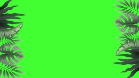 2D animation of realistic tropical leaves frame, leaves moving in wind appear at left and right. Seamless loop animation, green screen background. Custom text space. perfect for summer, ads, promotion - Powered by Shutterstock - Get 15% off with code: PIKWIZARD15