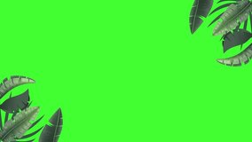 2D animation of realistic tropical leaves frame, leaves moving in wind appear on corners. Seamless loop animation, green screen background. Custom text space. perfect for summer, ads, promotions. 4k - Powered by Shutterstock - Get 15% off with code: PIKWIZARD15